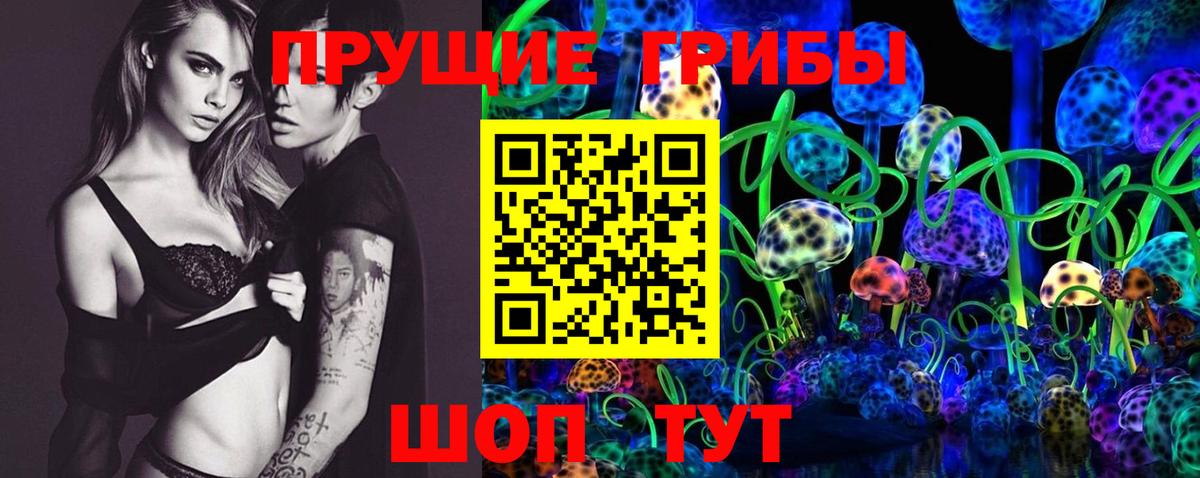 Псилоцибиновые грибы Psilocybe Вольск