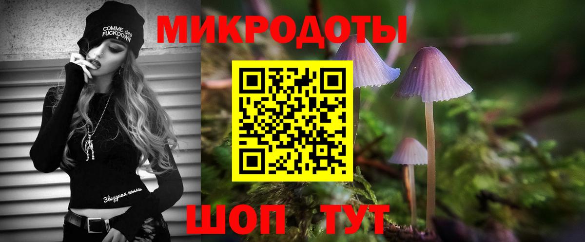 Галлюциногенные грибы мицелий  Вход с VPN  Вольск 
